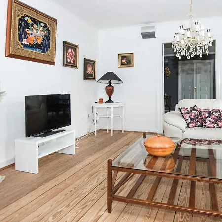 V Tatil Evi Højer